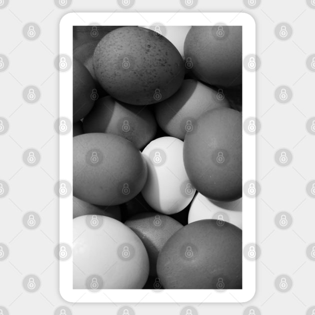 Chicken Eggs in Black and White Sticker by BlakCircleGirl